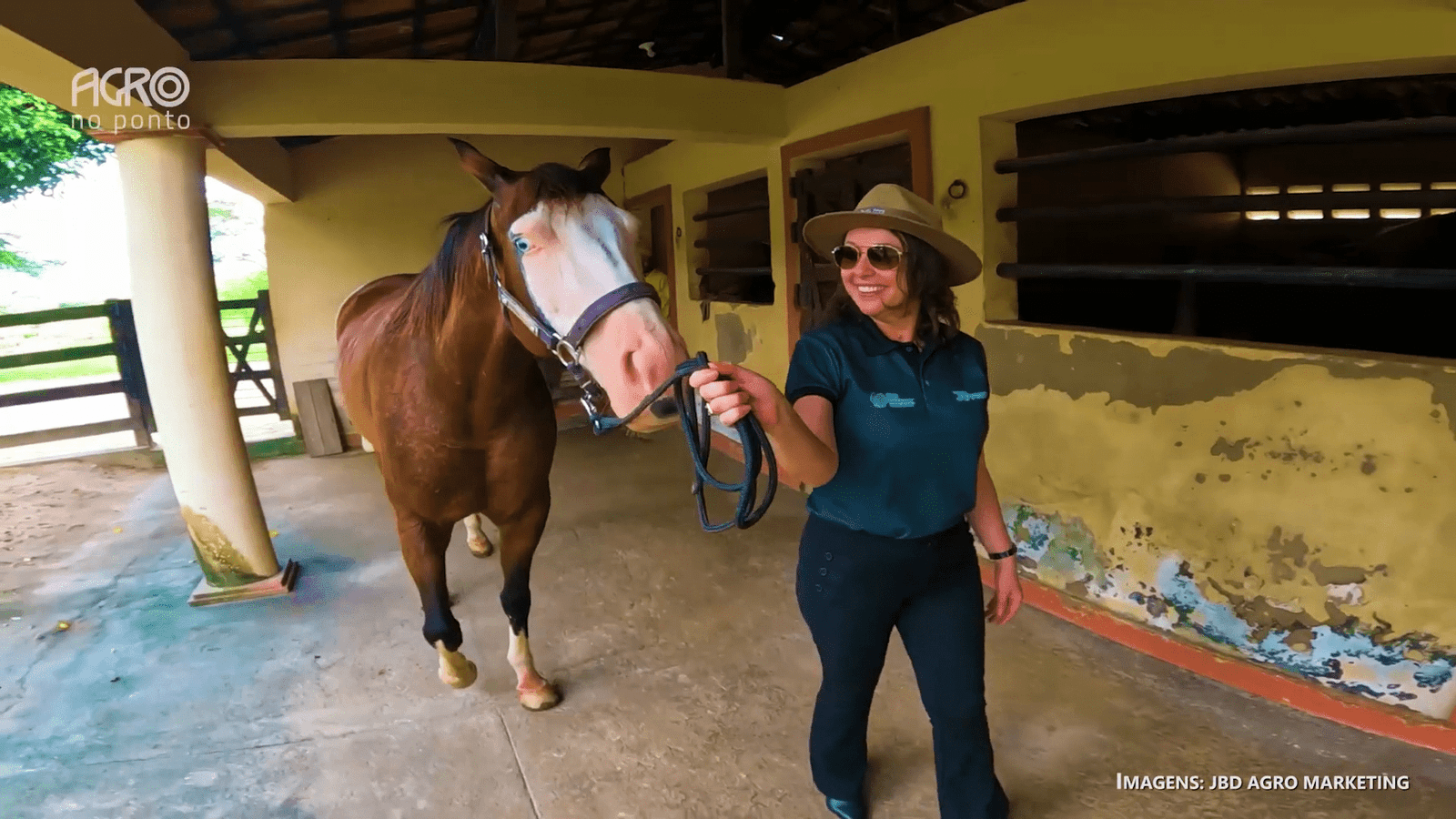 Treinamento com doma racional reforça bem-estar e segurança no campo.