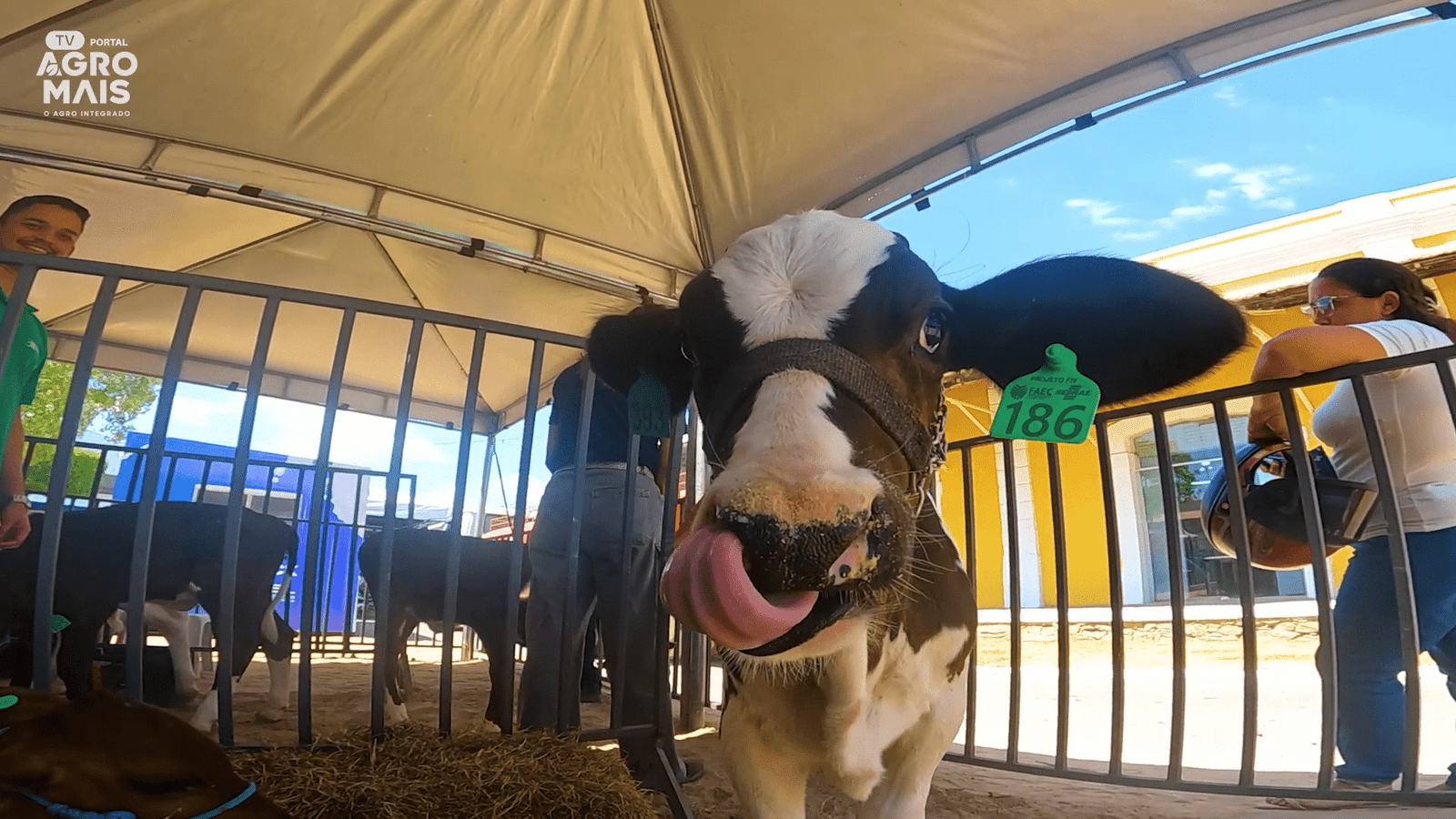 Autoridades e produtores reunidos no lançamento do programa Leite 360 no Cedro-CE.