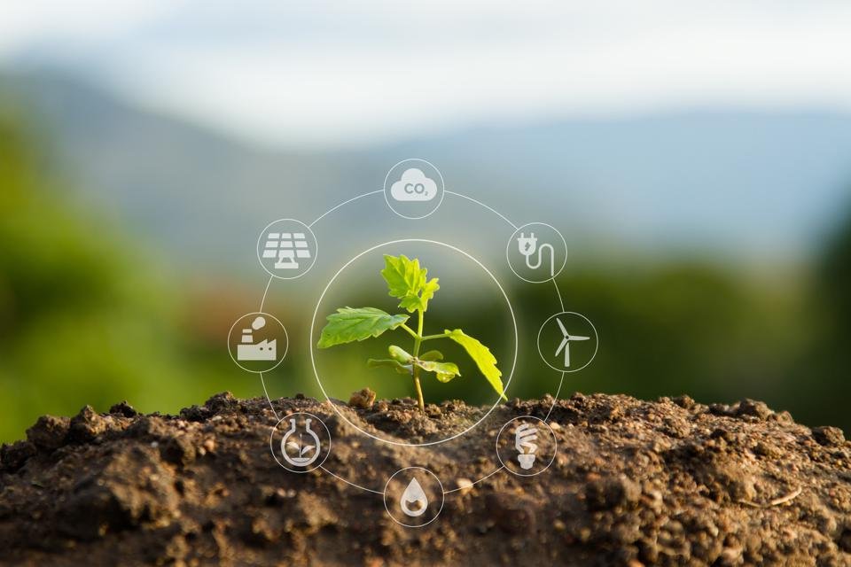 Eco Invest amplia a oferta de capital para projetos do agronegócio alinhados à transição climática.