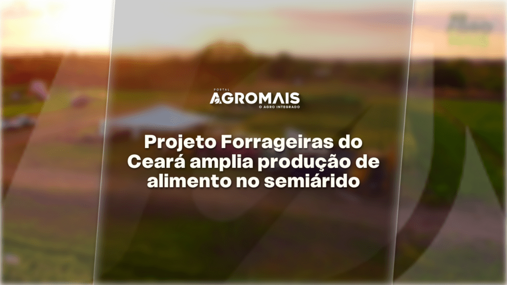 Thumbnail portal agromais   2026 27