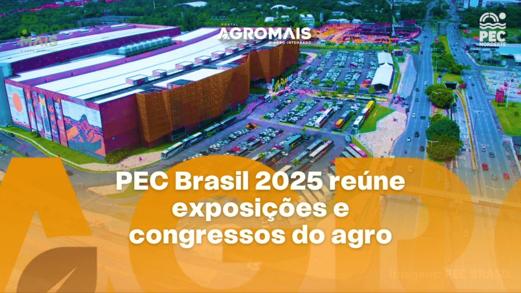 Thumbnail portal agromais   2026 28