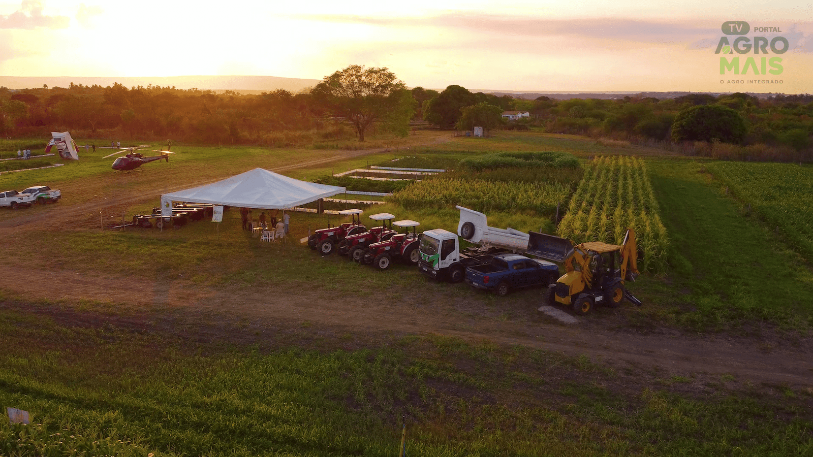 Iniciativa amplia a produção de alimento para rebanhos com espécies adaptadas ao semiárido cearense.