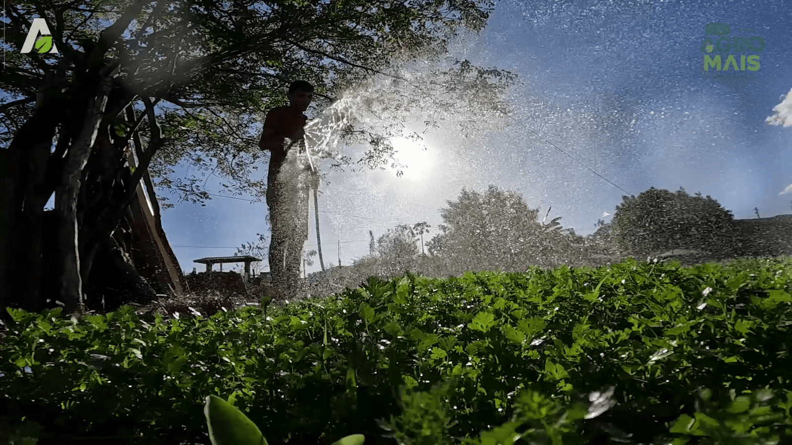 Projetos São José, Sertão Vivo e PAA ampliam apoio produtivo no campo cearense.