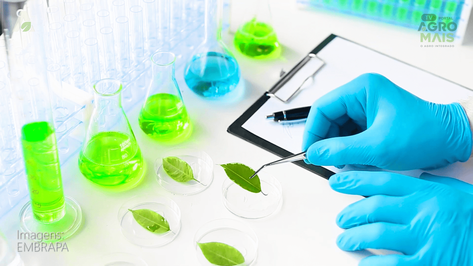 Produto funcional à base vegetal desenvolvido para atender restrições alimentares.