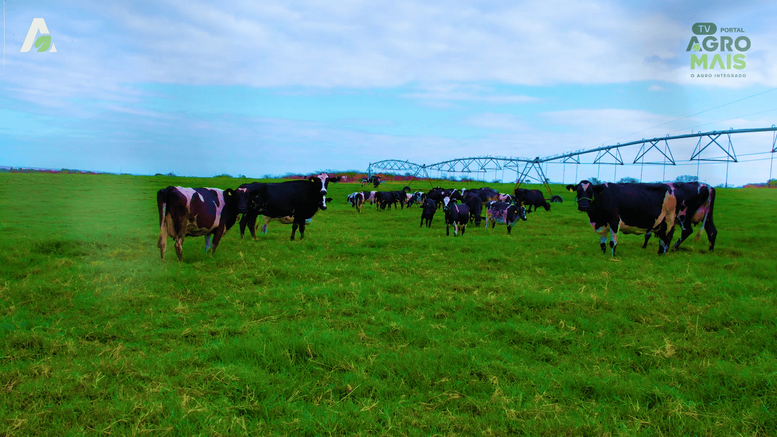 Iniciativas fortalecem resiliência climática e produção rural em 2026.