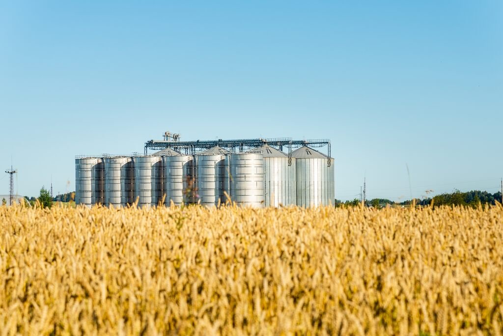 Com 353 milhões de toneladas estimadas, o Brasil enfrenta gargalo estrutural na capacidade de armazenamento de grãos.