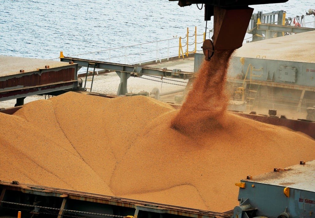 A suspensão dos embarques pela Cargill expôs uma fragilidade estrutural do agronegócio brasileiro diante das exigências técnicas do mercado chinês.