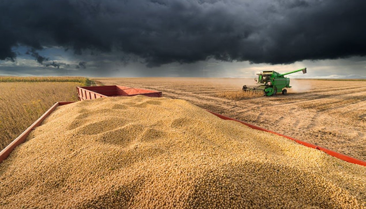 Atraso da soja encurta janela da safrinha e aumenta risco produtivo.