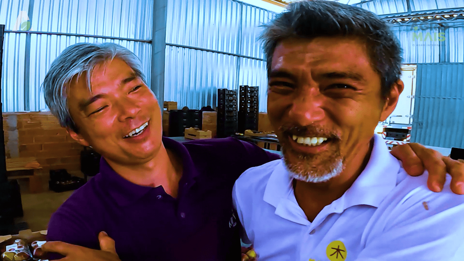 Família de descendentes japoneses investe no cultivo de figo no sertão do Ceará e abastece mercados em outros estados.