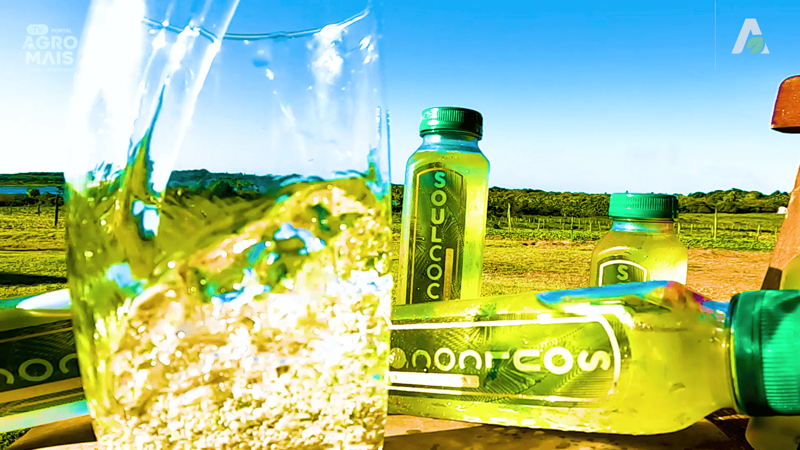 A água de coco SOULCOC chega ao mercado com processo a frio, cristalina e com 60 dias de validade. Inovação da cocoicultura cearense registrada pela TV Portal AgroMais.