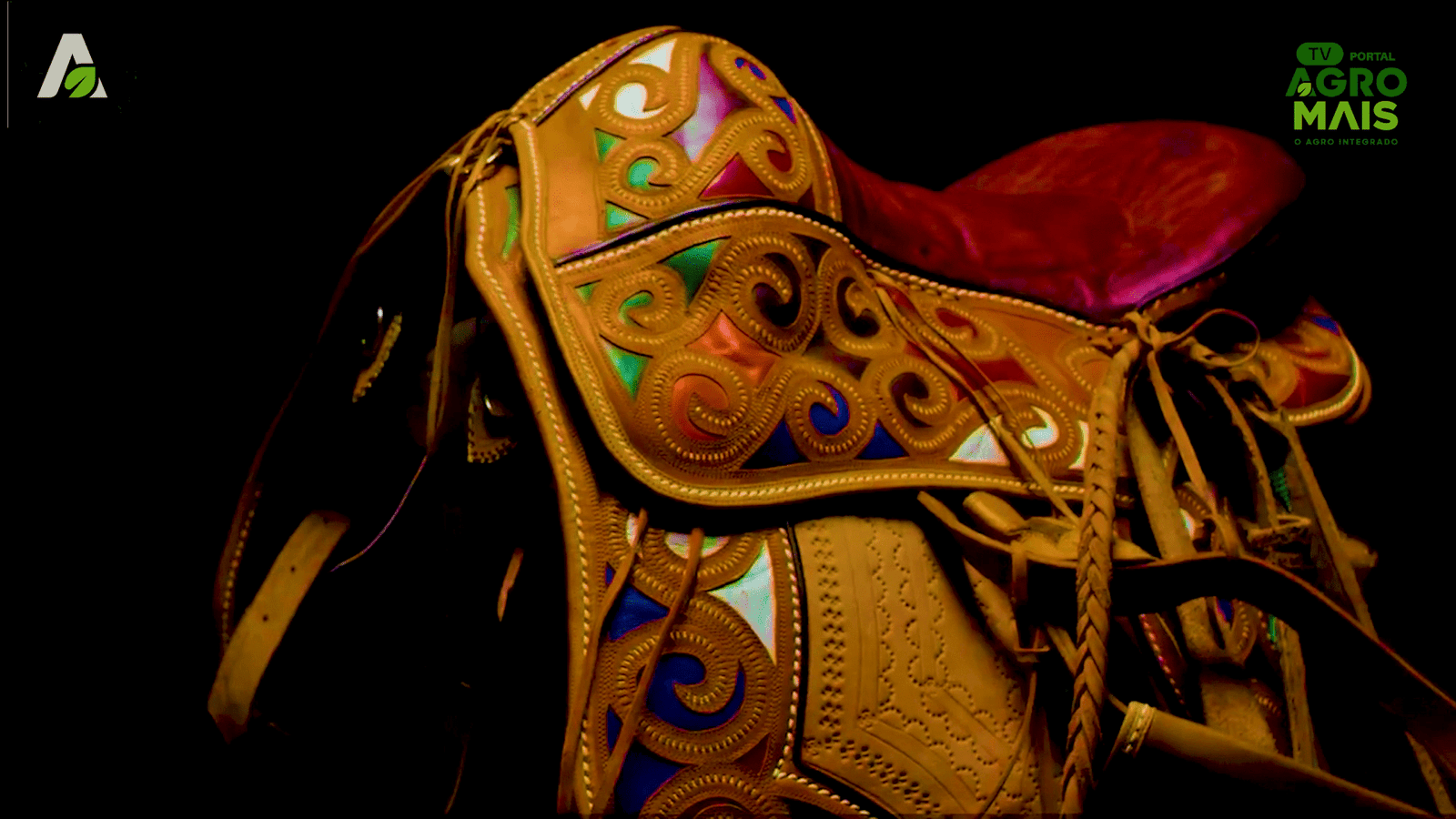 O mestre Expedito Celeiro ao lado de suas criações únicas em couro colorido, feitas com tintas extraídas da natureza sertaneja.