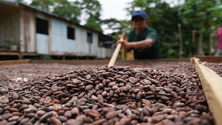 Chamada de R$ 150 milhões impulsiona inovação no semiárido