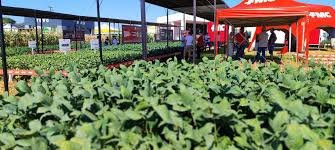 Licitaben amplia conexão entre empresas e agricultura familiar