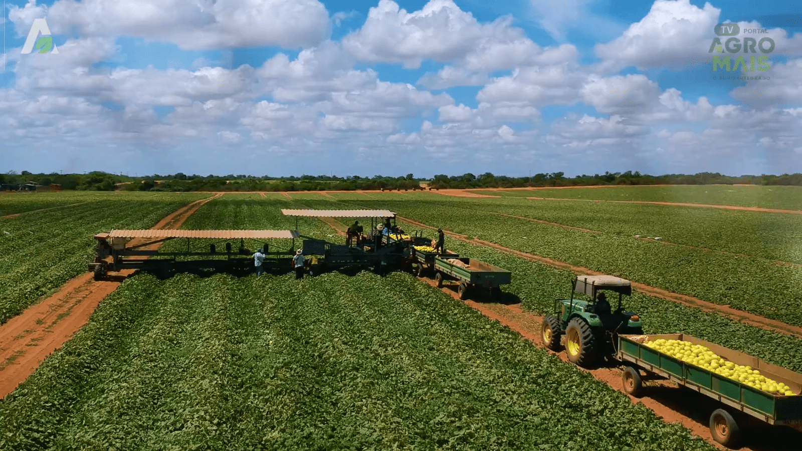 A Secretaria de Desenvolvimento Agrícola do Ceará coordena iniciativas que beneficiam centenas de comunidades rurais.