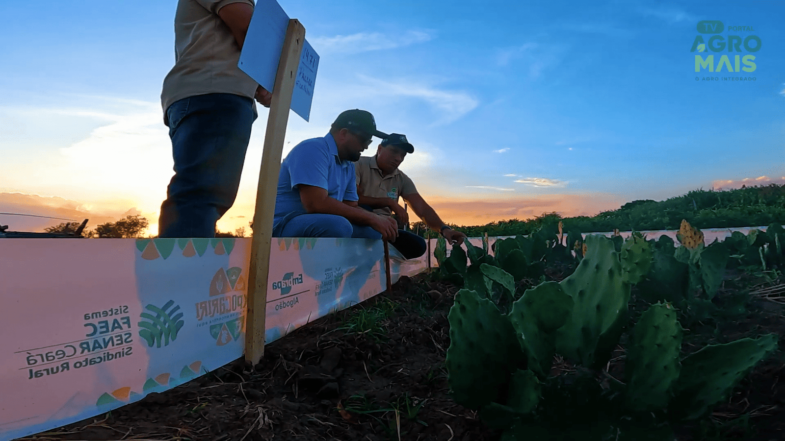 Projeto FAEC-SENAR implanta unidades forrageiras em 35 municípios do Ceará desde 2024