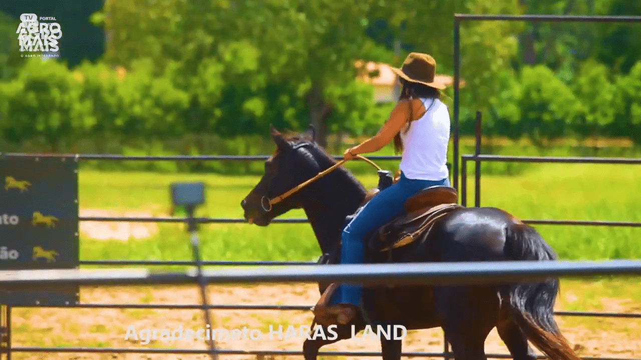 O Arasland é um modelo de equinocultura como negócio estruturado no Nordeste do Brasil