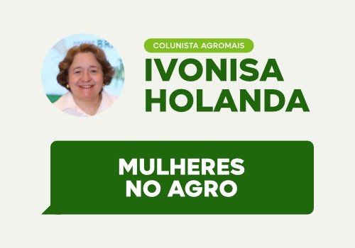 Coluna ivonisa
