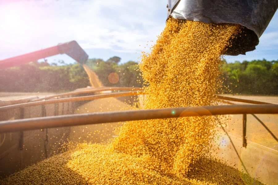 Soja recua para US$ 11,92/bushel com pressão de oferta mas permanece rentável
