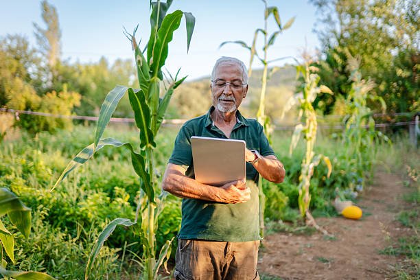Semana decisiva para o agro: WASDE, balança comercial e dados do Imea em pauta