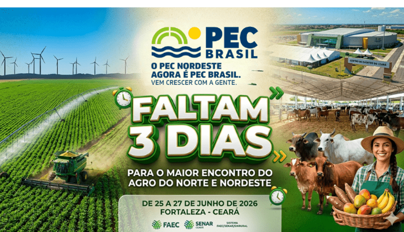 PEC Brasil 2026 em 3 dias: reta final de preparação para o produtor cearense