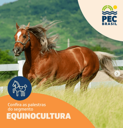 PEC Brasil 2026 em 8 dias: o que esperar da maior feira indoor do agro do país em Fortaleza