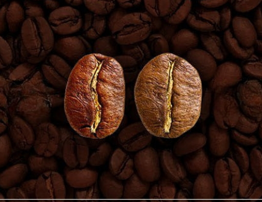 Café arábica e robusta caem na abertura da semana com foco na colheita e no El Niño