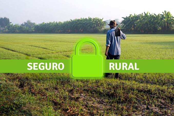 Seguro Rural sofre novo corte de R$ 56,2 milhões no orçamento de 2026, preocupante diante do El Niño histórico projetado