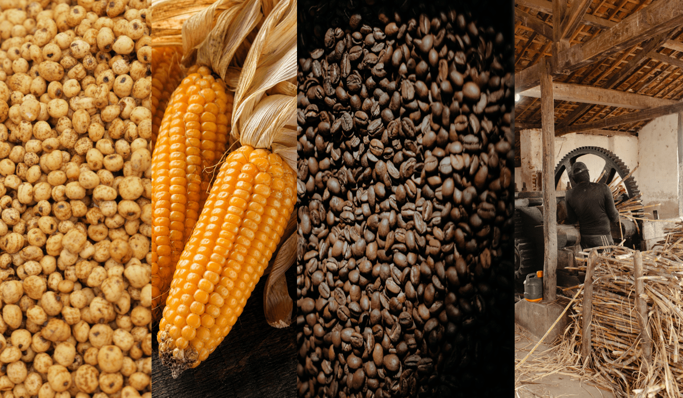 El Niño 2026/27 pode elevar riscos para soja, milho, café e cana, aponta novo relatório