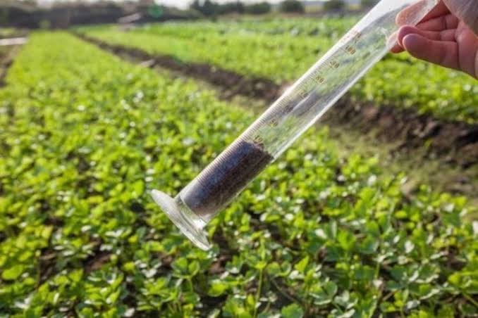 Diagnóstico de solo negligenciado em milhões de hectares