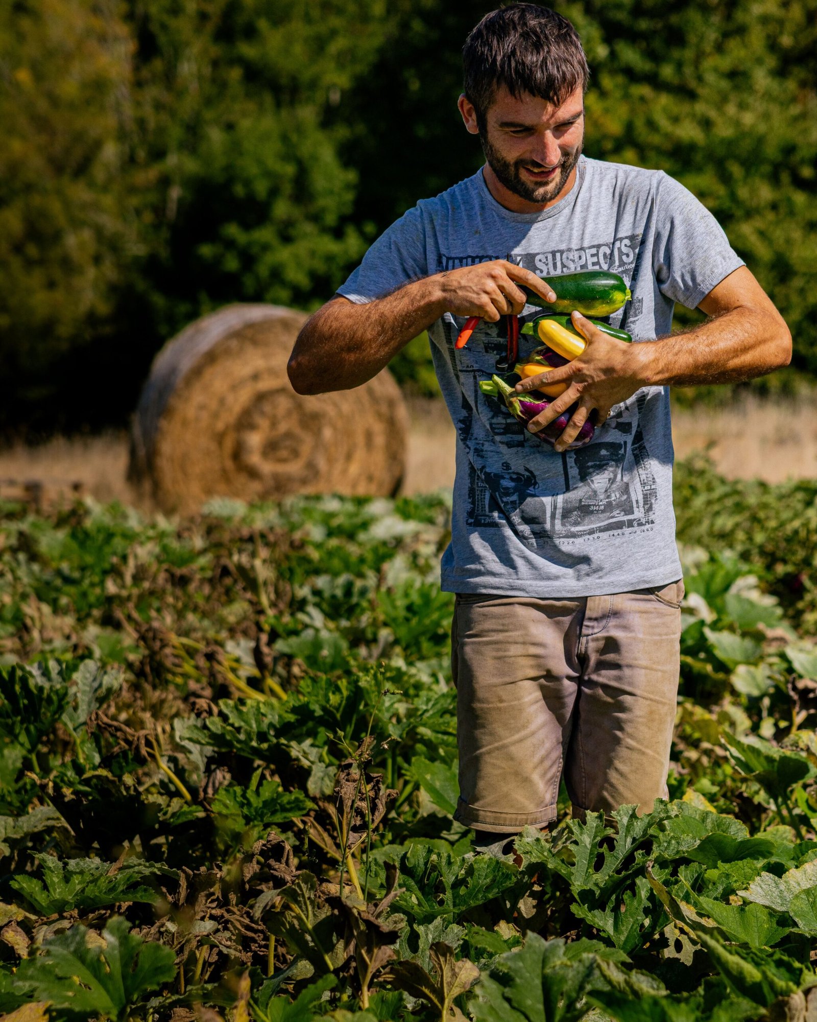 Agroecologia avança no Ceará com SAFs e BNB prevê 13 mil financiamentos em 2026