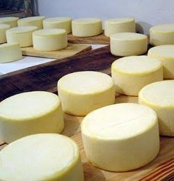 62ª ExpoJaguar: julgamentos, IG do Queijo Coalho e SISBI hoje.