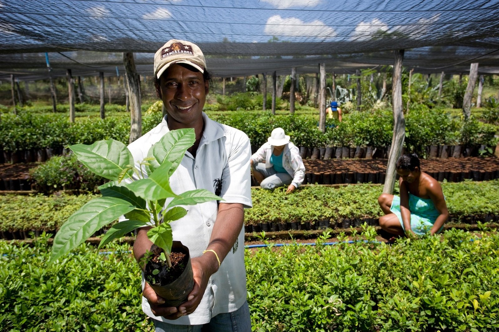 Relatório SOFI 2026 da ONU destaca produção familiar como chave da segurança alimentar — e o Nordeste está no centro dessa narrativa
