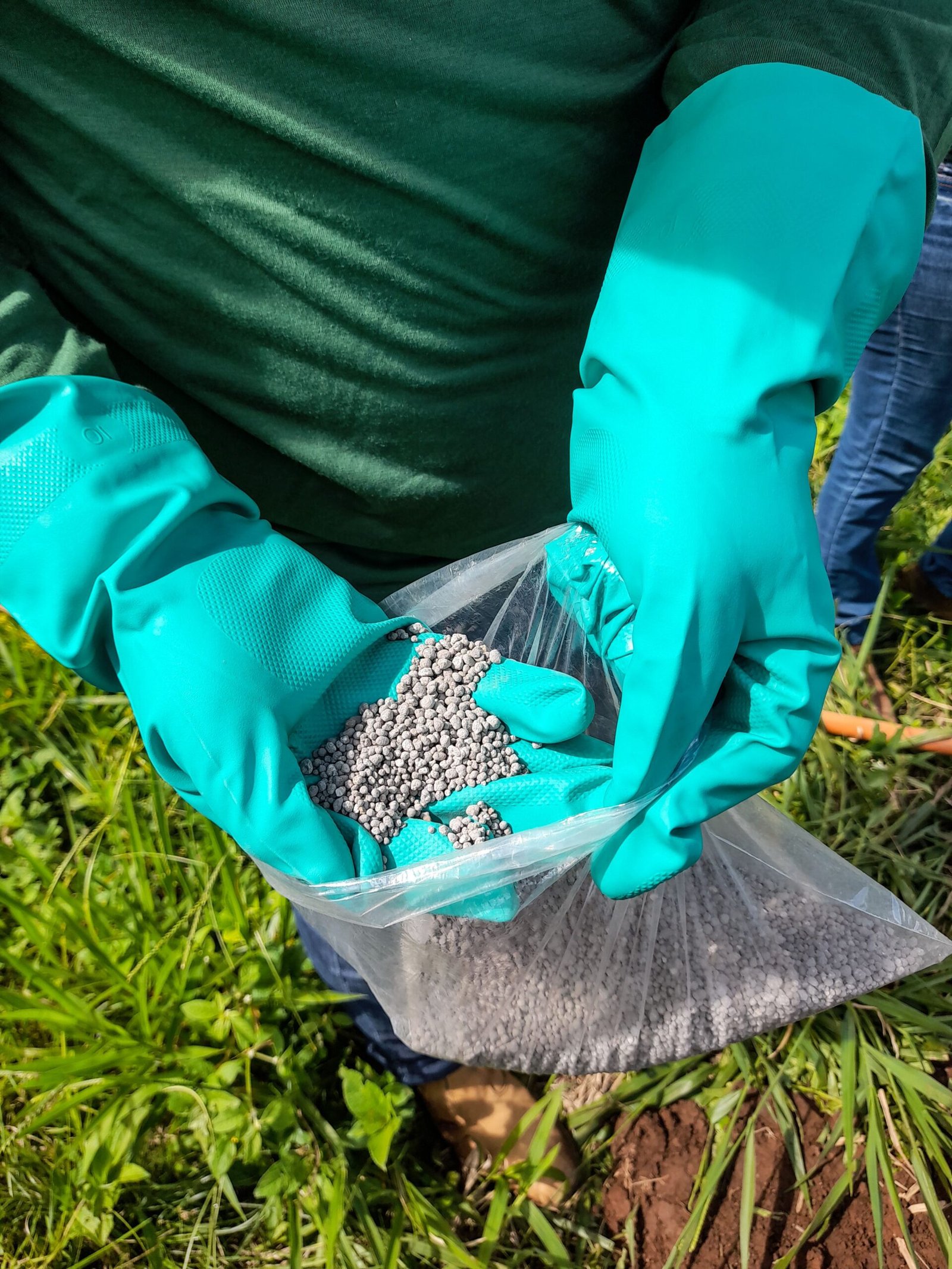 Trégua no Ormuz abre janela de fertilizantes mais baratos 