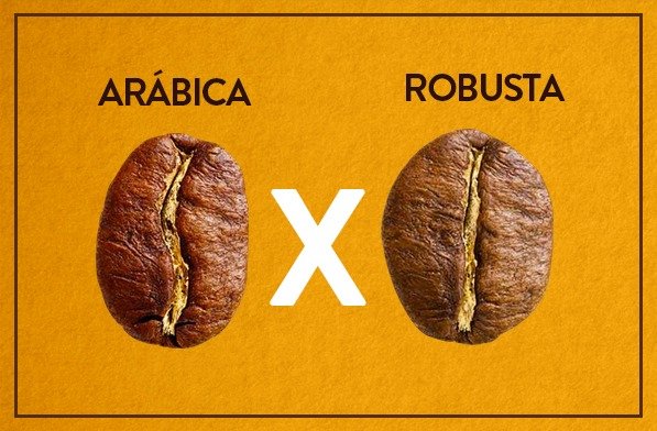 Café com arábica estável e robusta em alta — exportações Brasil podem saltar em 2026/27