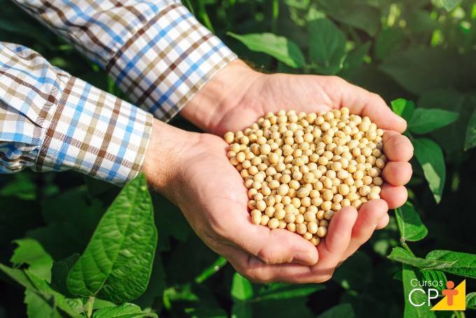 Soja cai em Chicago com melhora climática no Corn Belt mas tensão EUA-Irã mantém volatilidade elevada