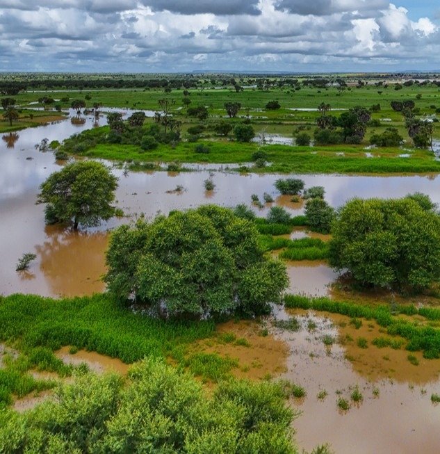 Agronegócio enfrenta El Niño, tarifas e juros no 2º semestre — planejamento urgente para 2026/27