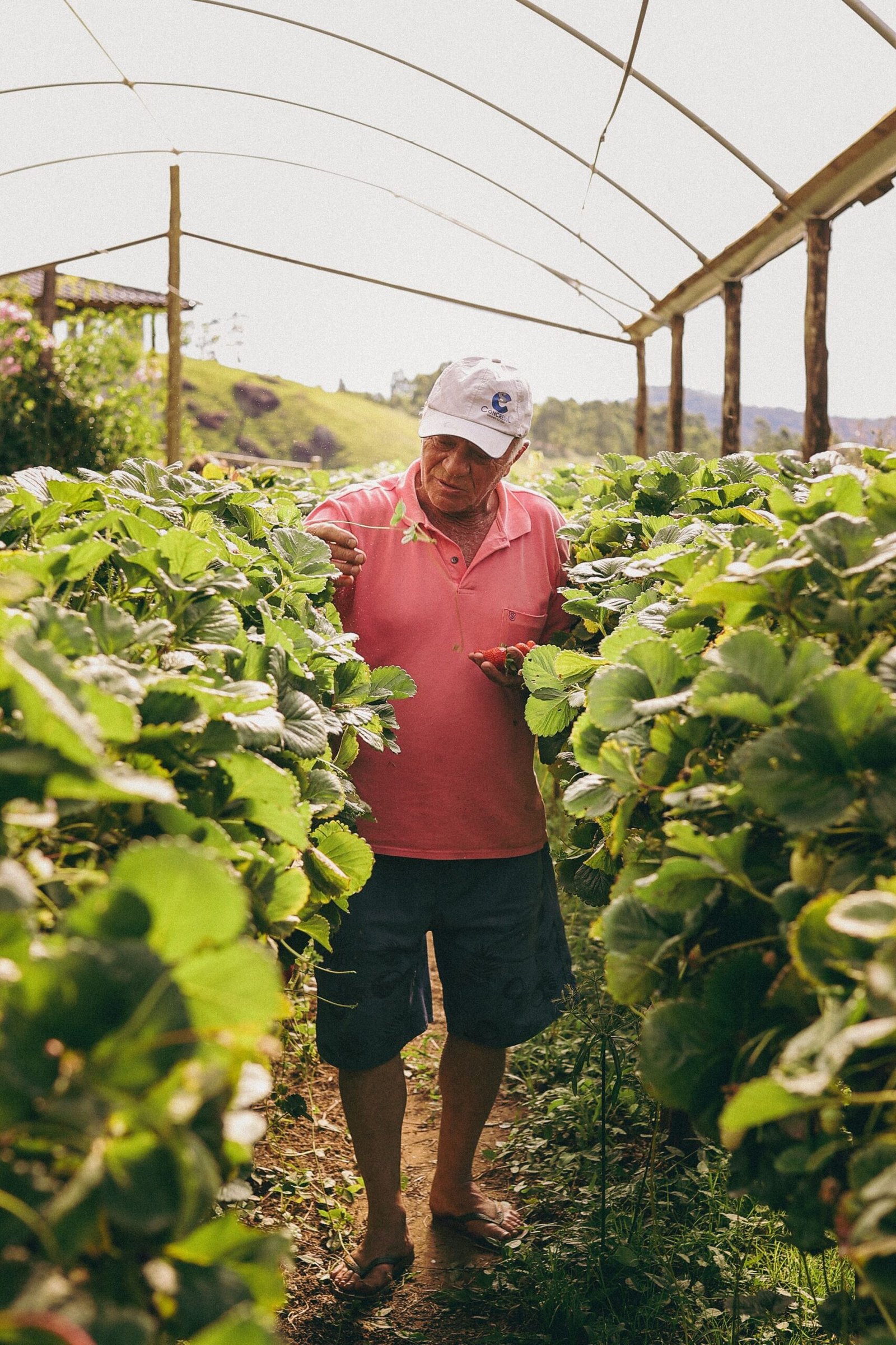 Brasil prestes a superar EUA como maior exportador agrícola — e o Nordeste contribui