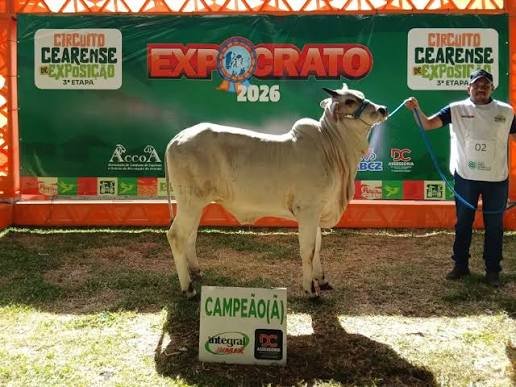 Expocrato 2026 sedia pela primeira vez exposição ranqueada da raça Nelore no Ceará — marco histórico para a pecuária cearense