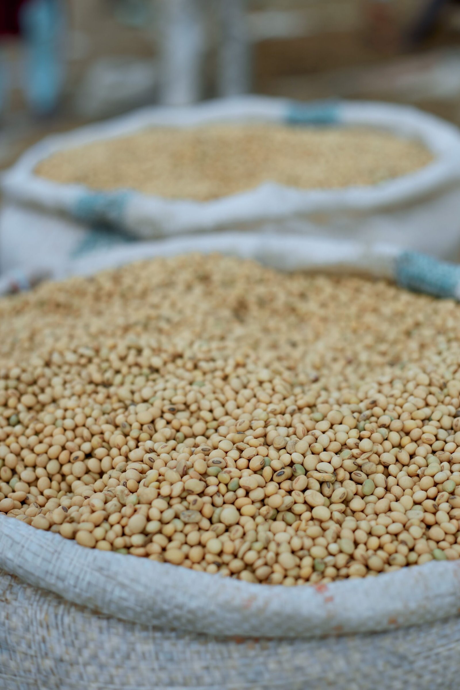 Soja em acomodação pós-DATAGRO — mercado busca equilíbrio