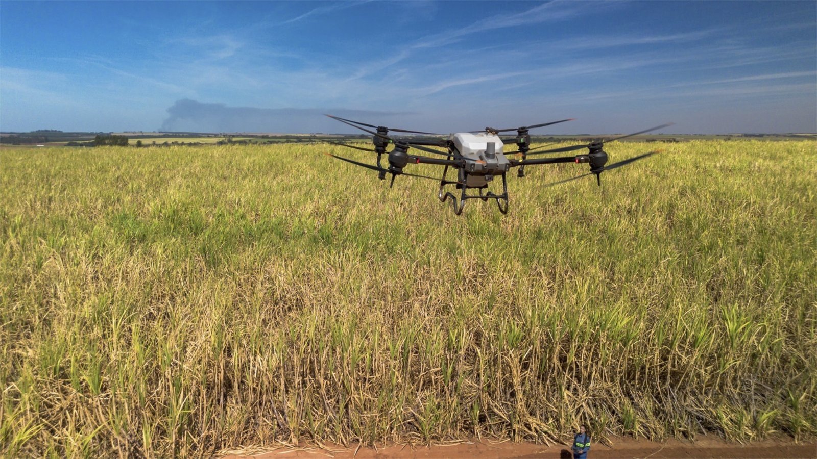 Expointer 2026 debate IA, crédito rural, drones e biotecnologia