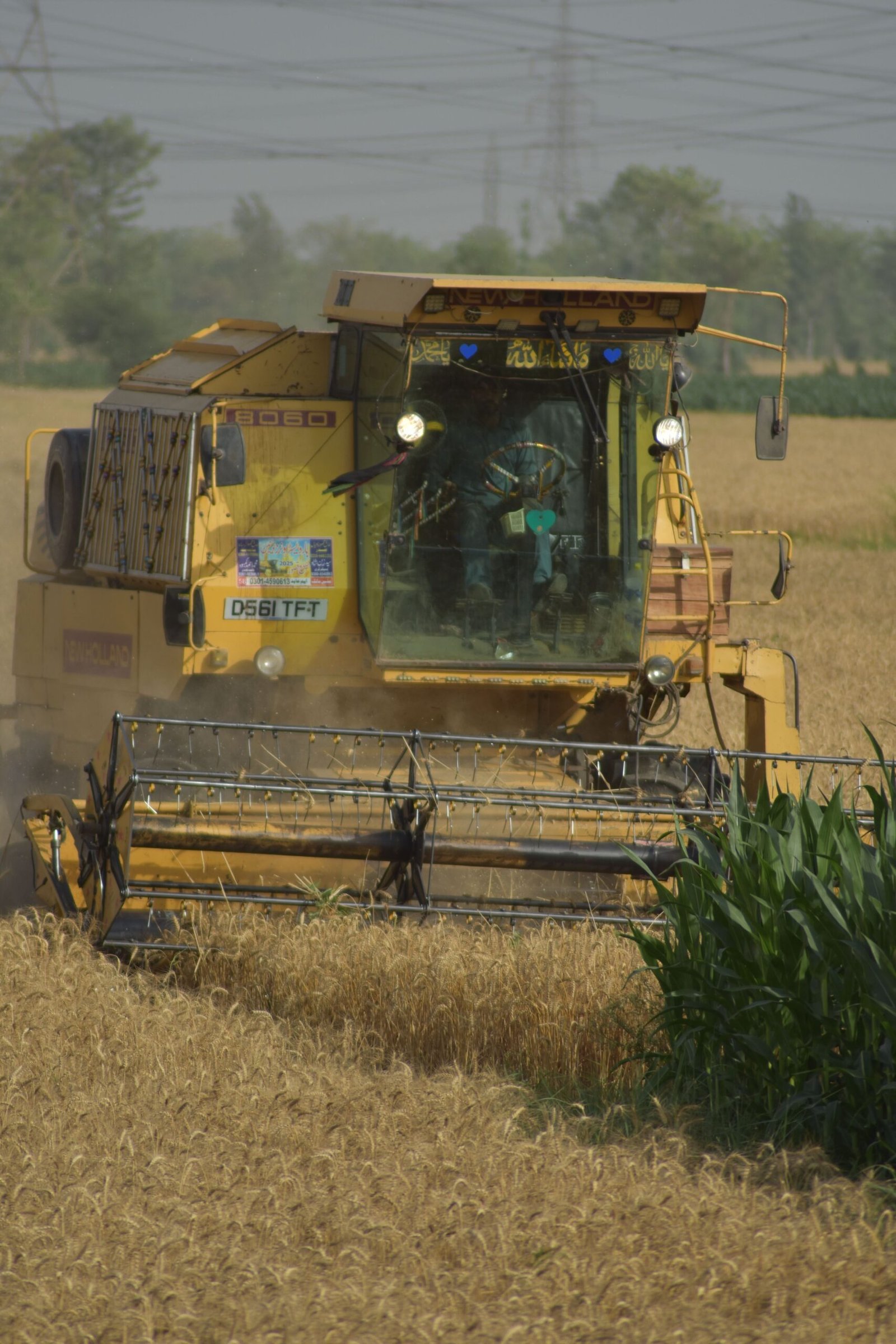 Recuperações judiciais no agro +21,9%