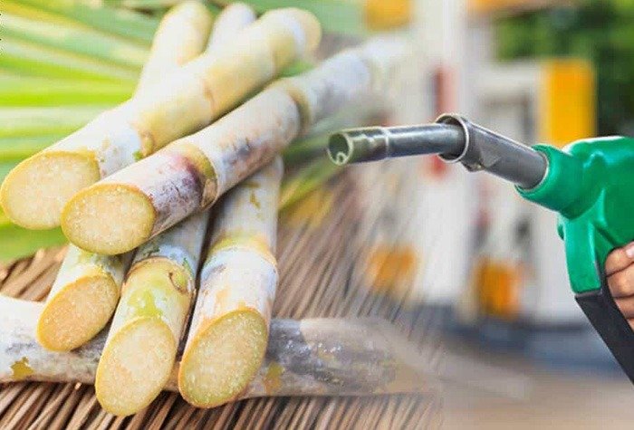 Etanol e açúcar firmes sustentam cotações