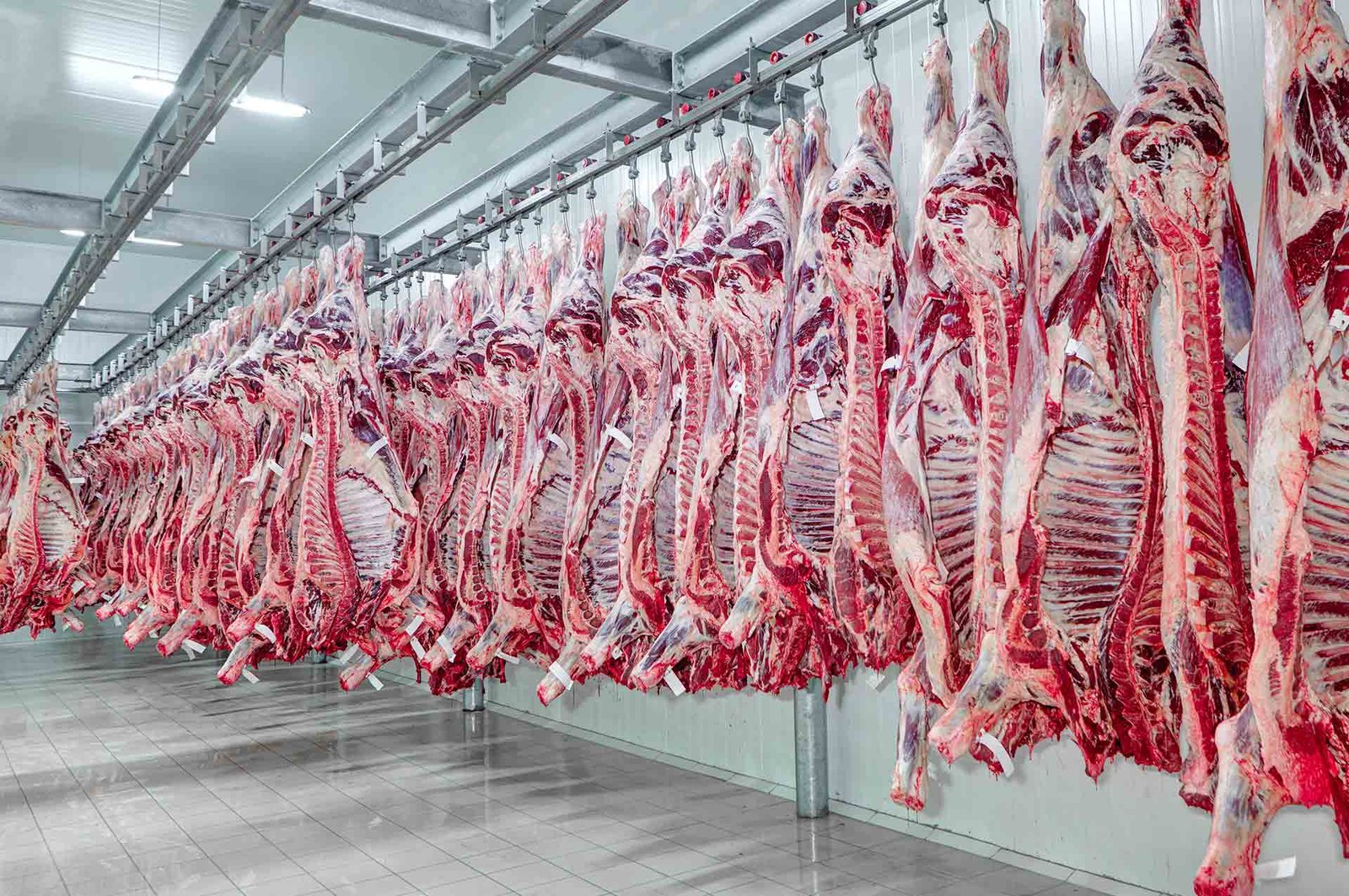 EUA ampliam compras de carne do Brasil com México fora