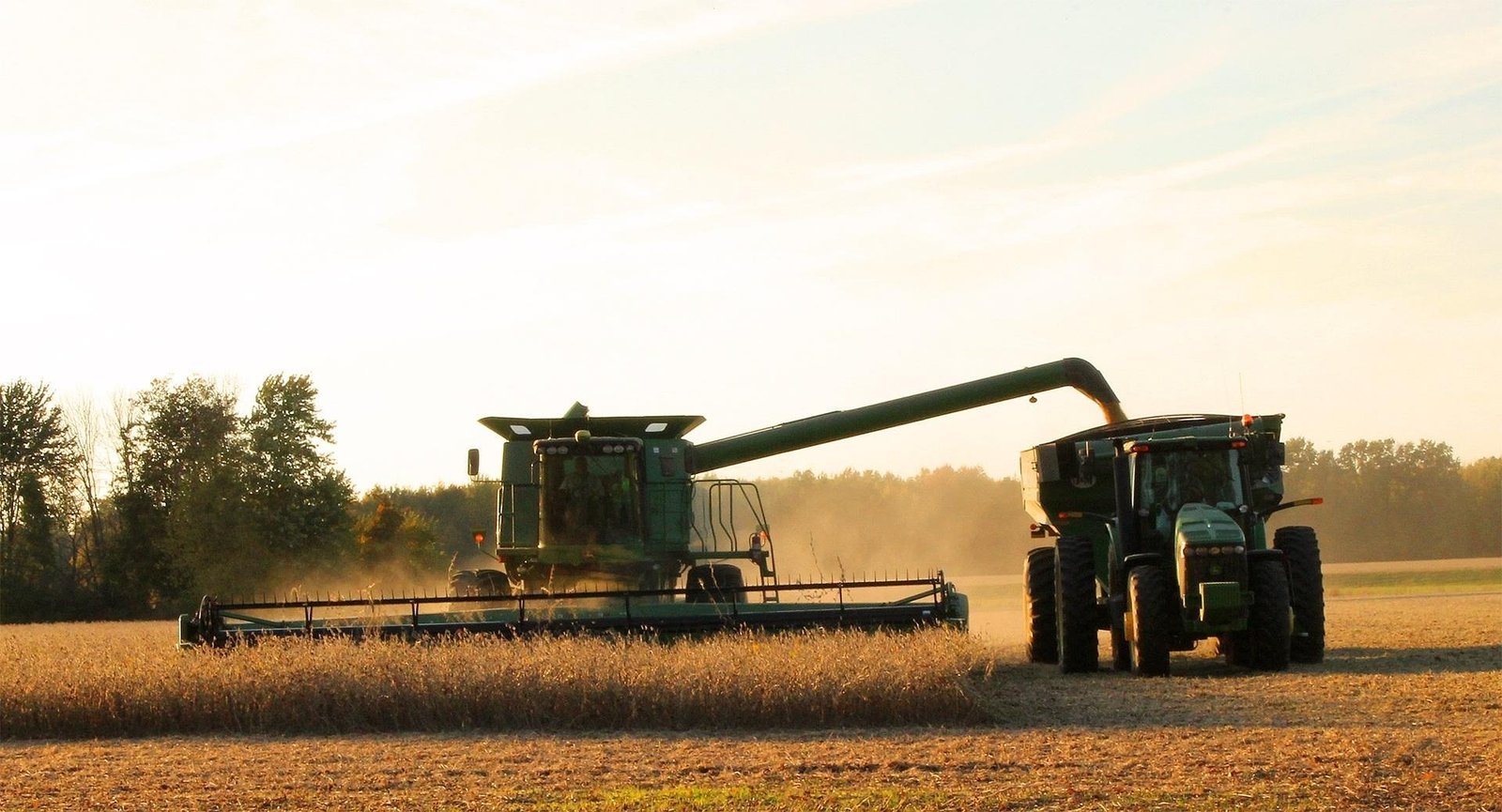 Soja brasileira ficou momentaneamente mais cara que a americana — quando o diferencial se reverte, o que o produtor nordestino monitora e como usar o USDA de 12/08 para a decisão final