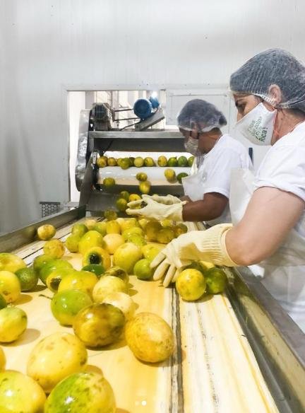China abre para polpas e frutas congeladas do Brasil