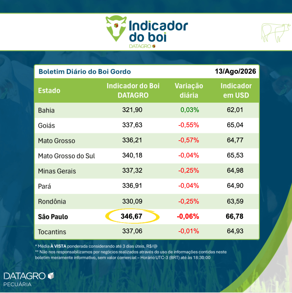 Encerramento de agosto: DATAGRO e Agrinordeste