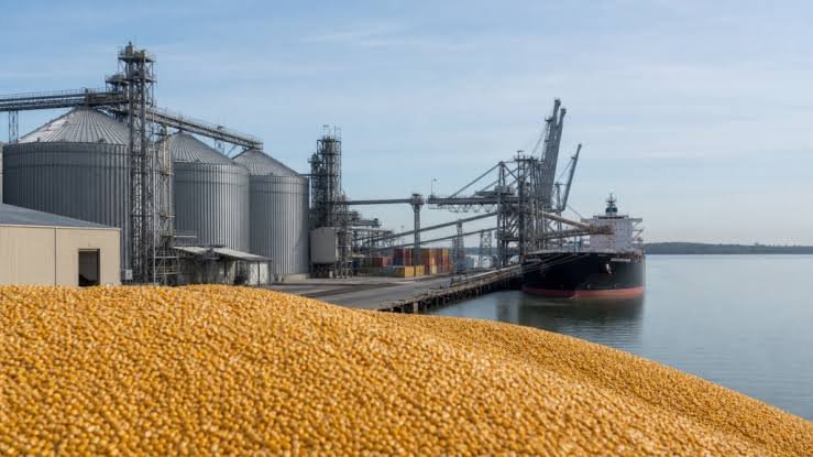 USDA reduz produção e estoques de milho dos Estados Unidos em setembro de 2026