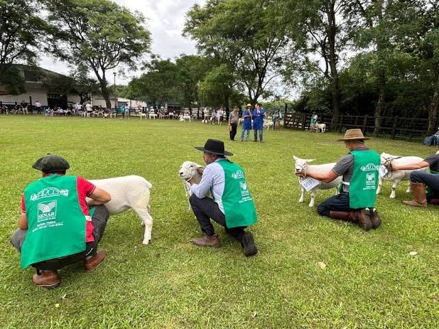 Feiras agropecuárias movimentam economia do interior do Ceará em setembro