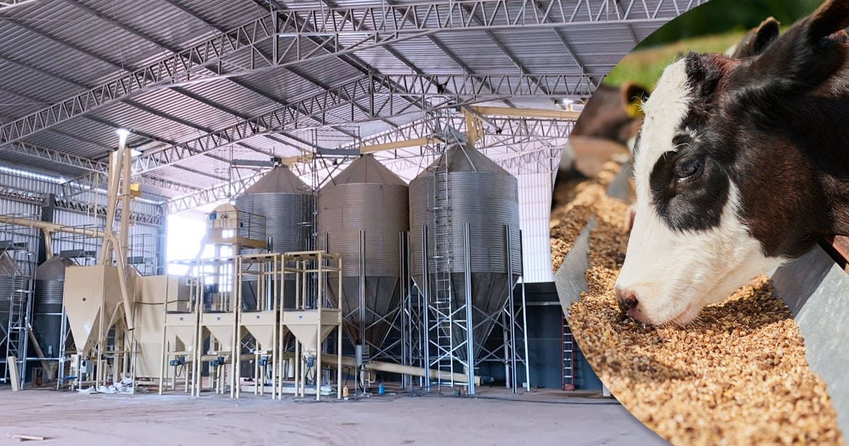 Equipamentos para fabricação de ração podem atender criadores da agricultura familiar
