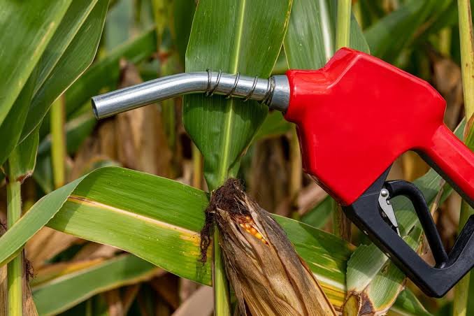 Etanol: demanda cresce e mudanças tributárias alteram competitividade